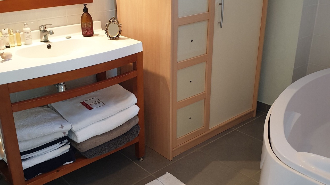 Photo of Bathroom in Ronce-les-Bains