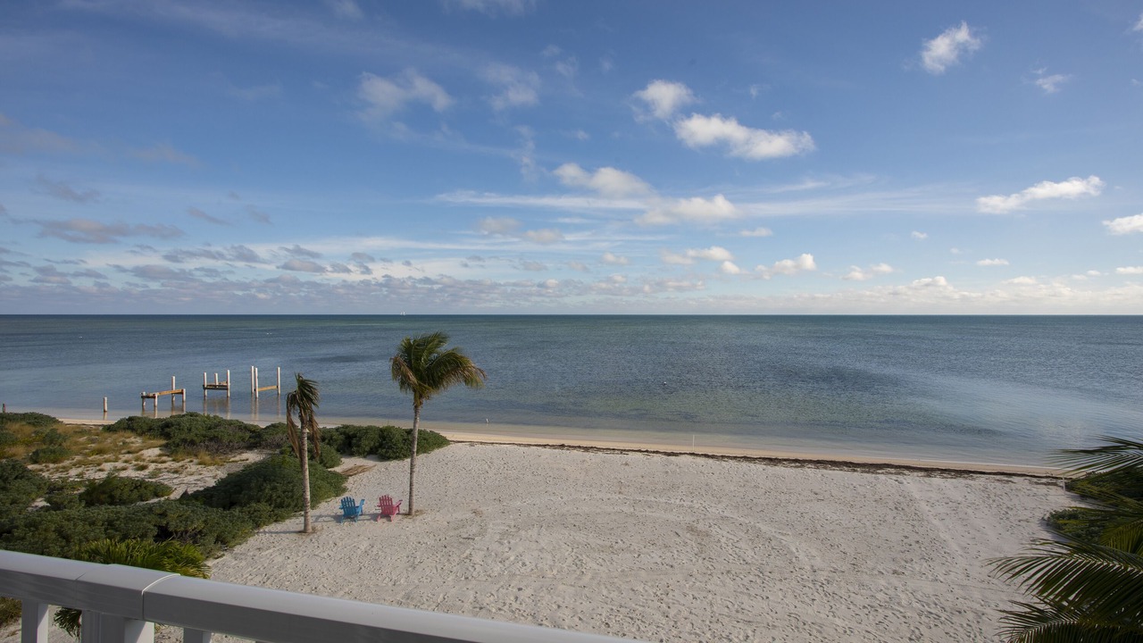 Photo of Others in Coupon Bight Aquatic Preserve