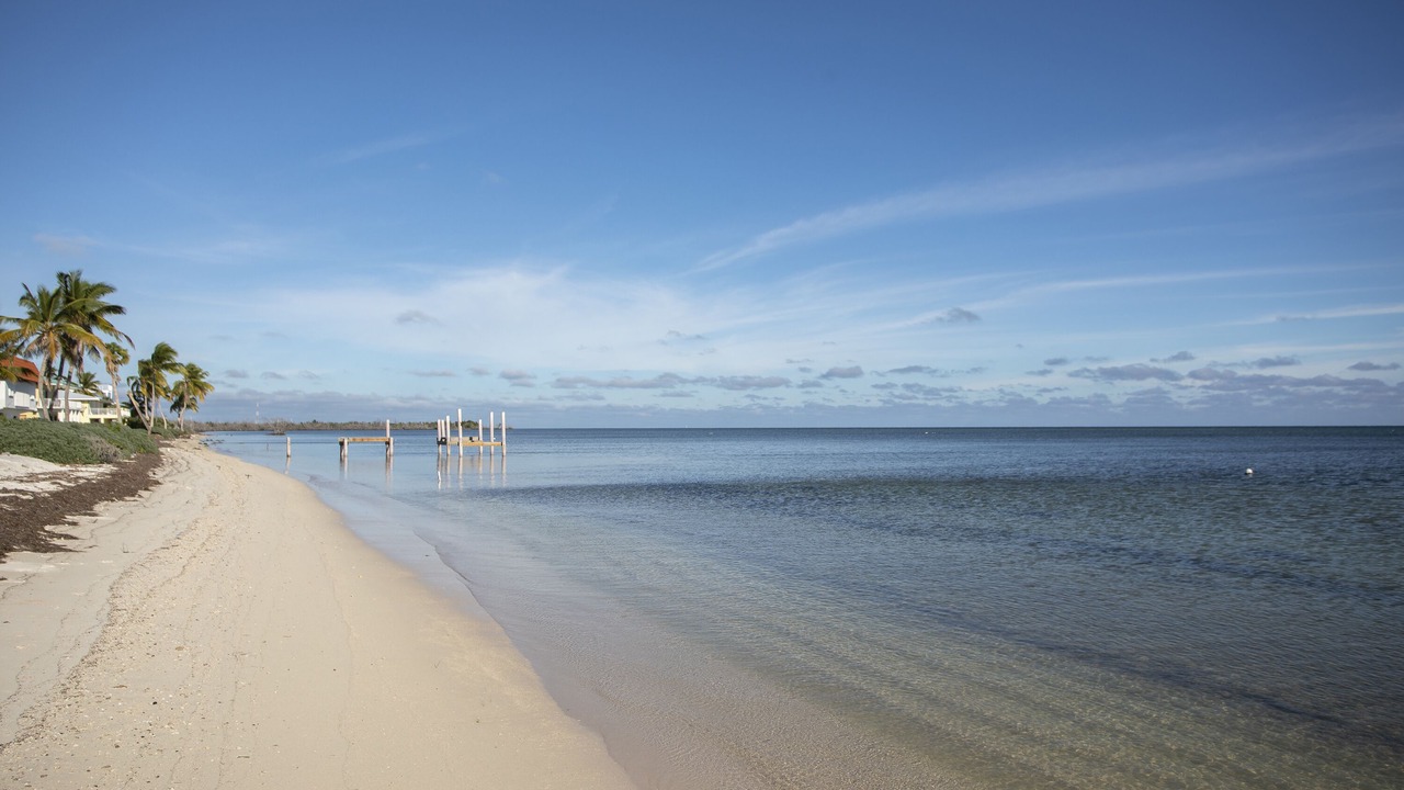 Photo of Others in Coupon Bight Aquatic Preserve