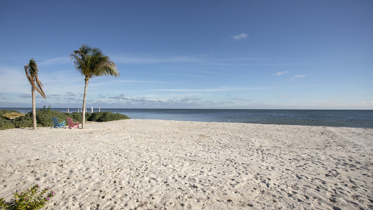 Photo of Others in Coupon Bight Aquatic Preserve