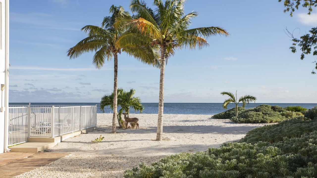 Photo of Others in Coupon Bight Aquatic Preserve