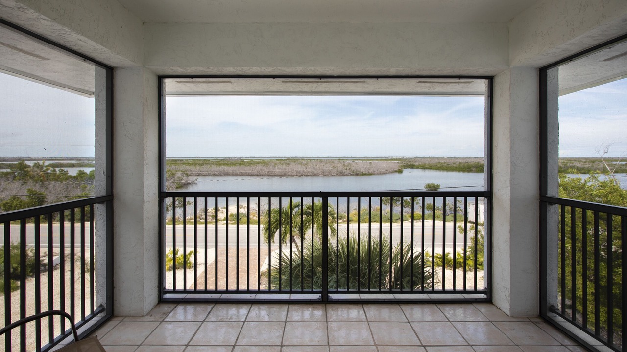 Photo of Others in Coupon Bight Aquatic Preserve