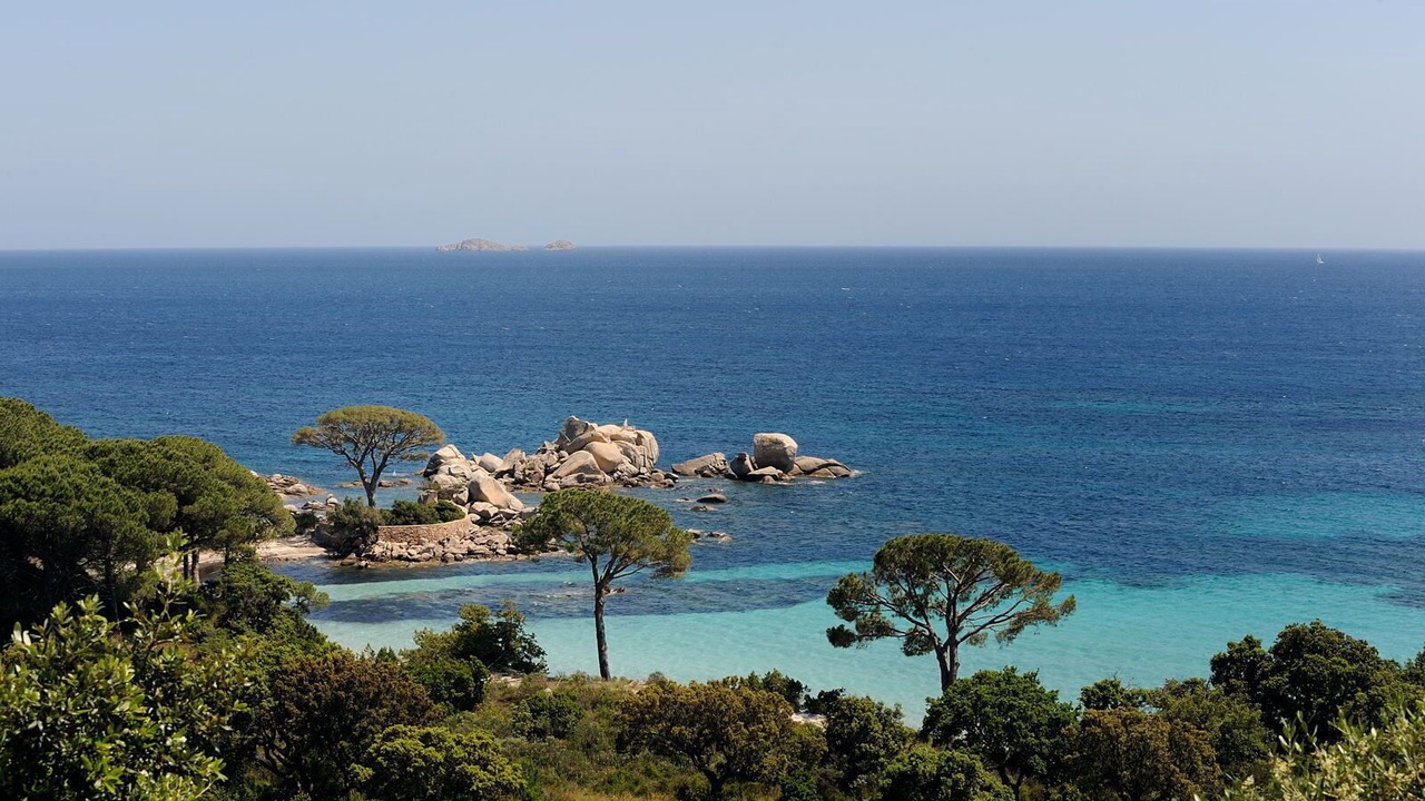 Photo of Others in Porto-Vecchio