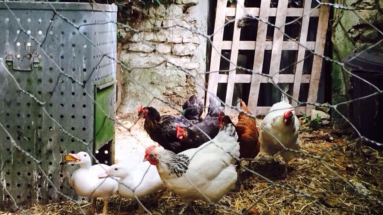 Photo of Outdoor in Gibourne