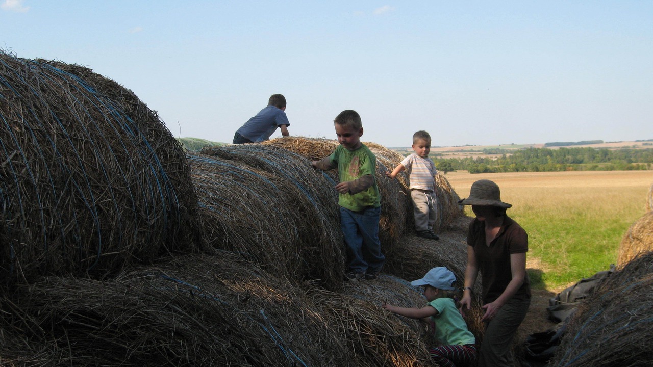 Photo of Others in Gibourne