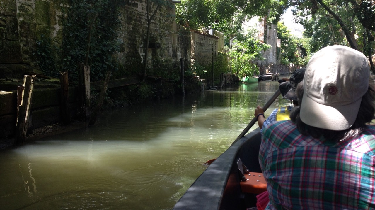 Photo of Others in Gibourne