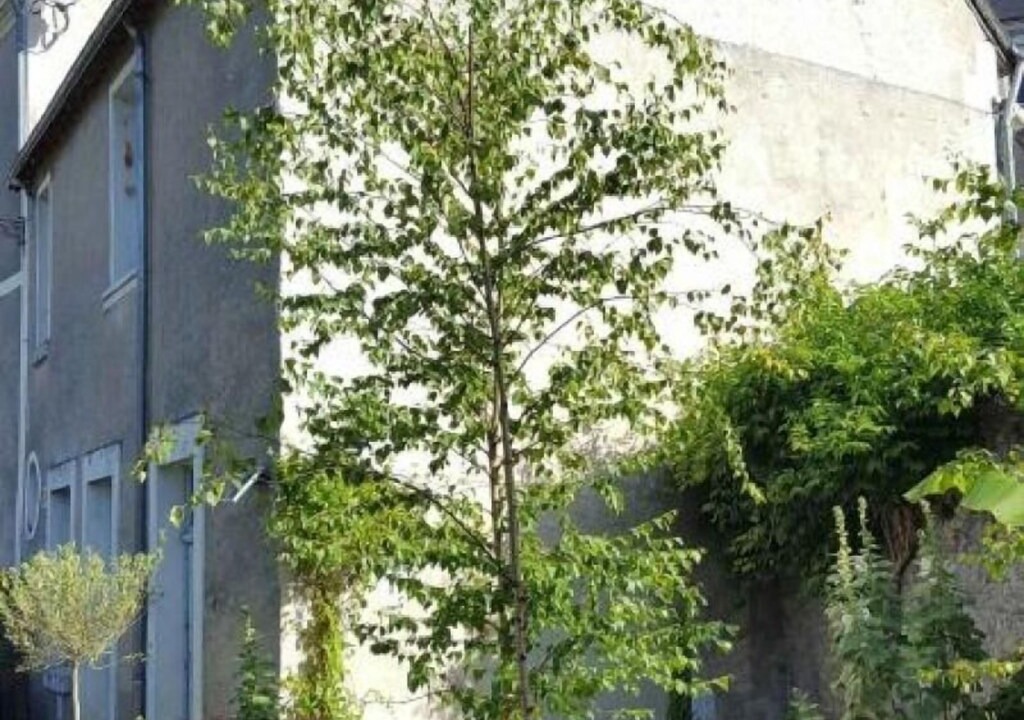 Photo of Others in Pontlevoy