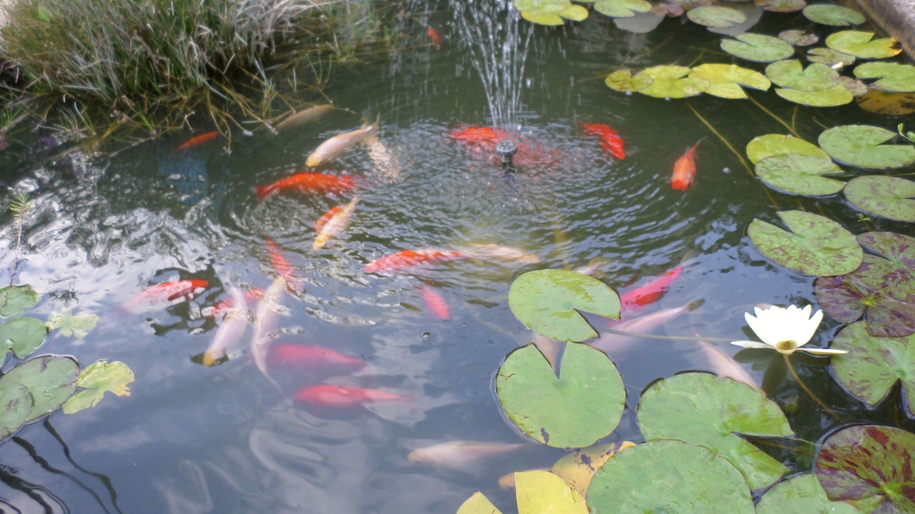 Photo of Outdoor in Clermont-l'Herault