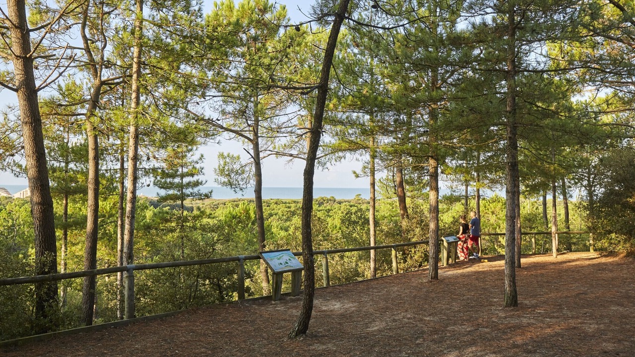 Photo of Others in Saint-Jean-de-Monts