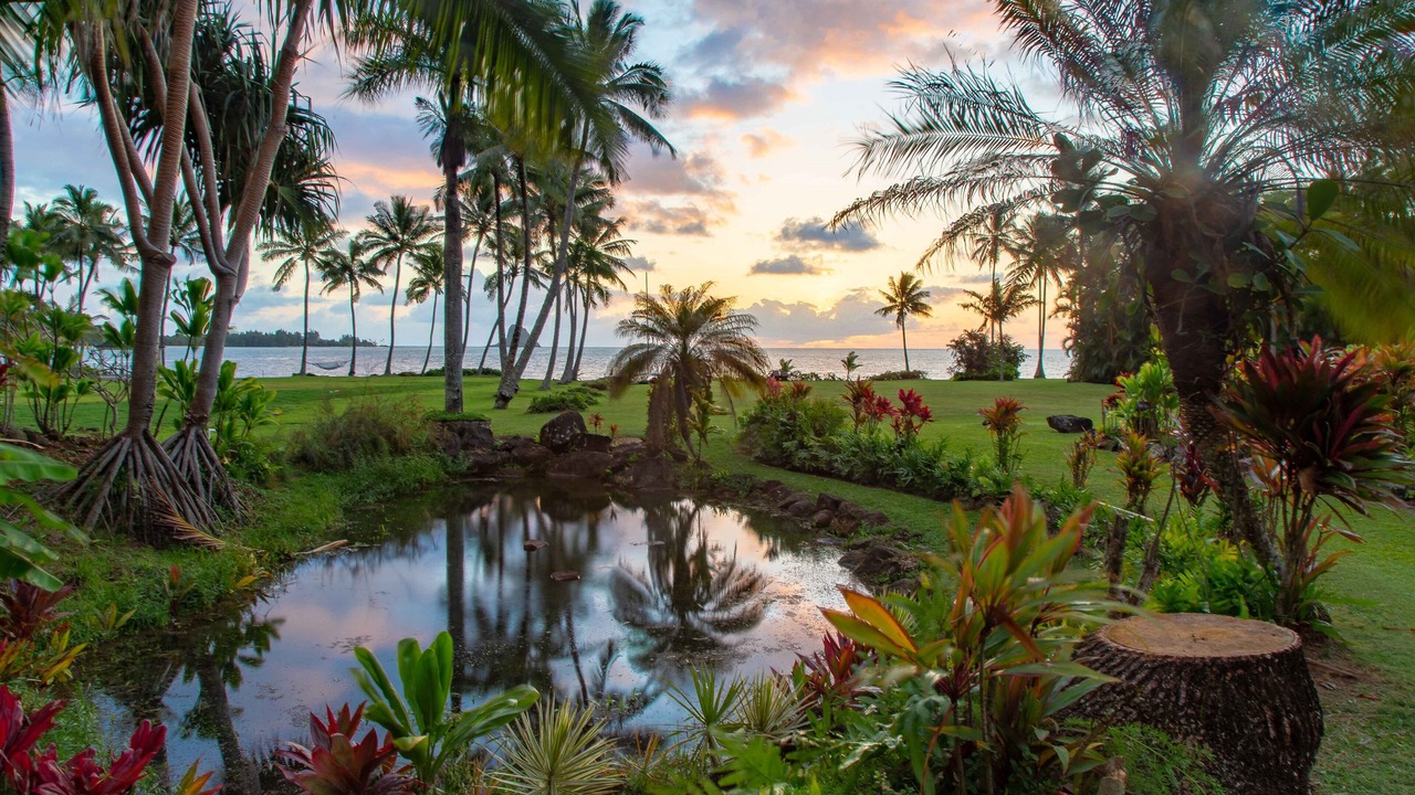 Photo of Others in Waikane