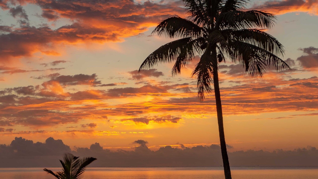 Photo of Others in Waikane