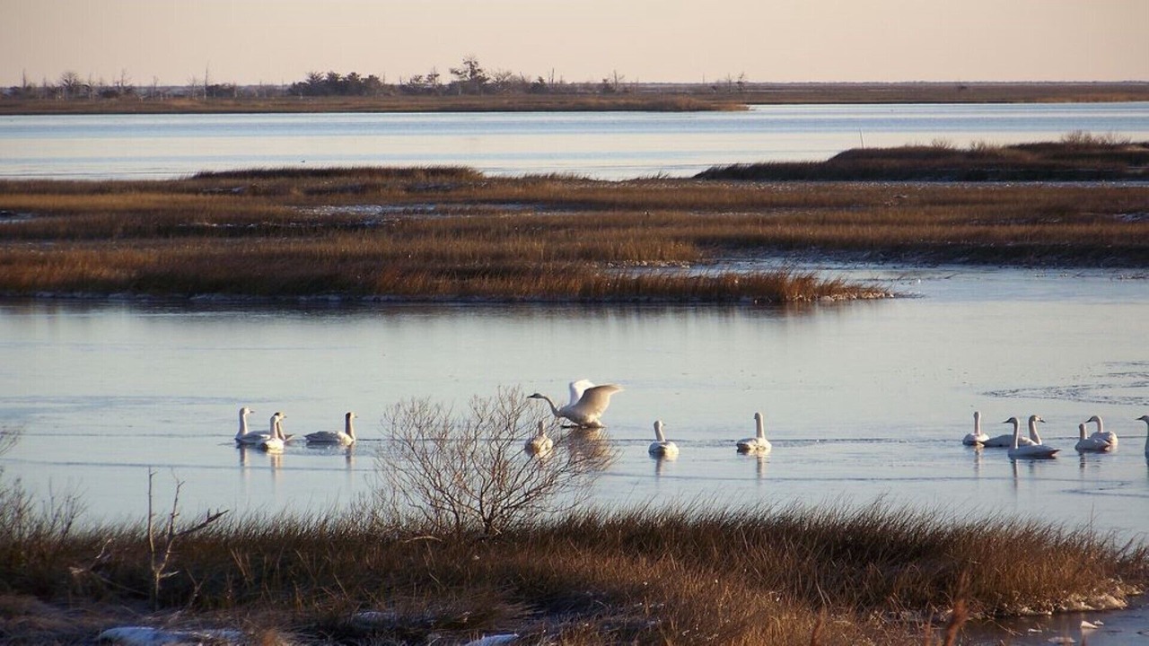 Photo of Others in Port Haywood