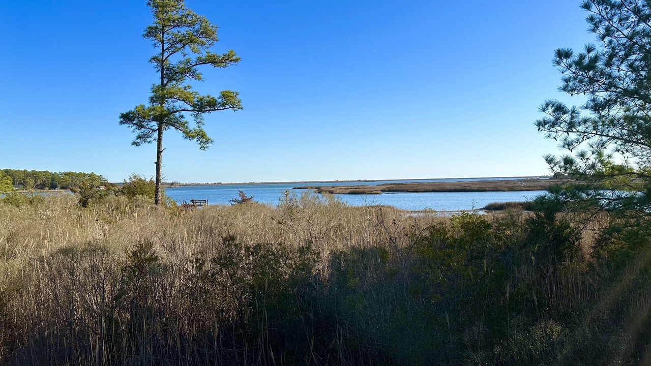 Photo of Others in Port Haywood