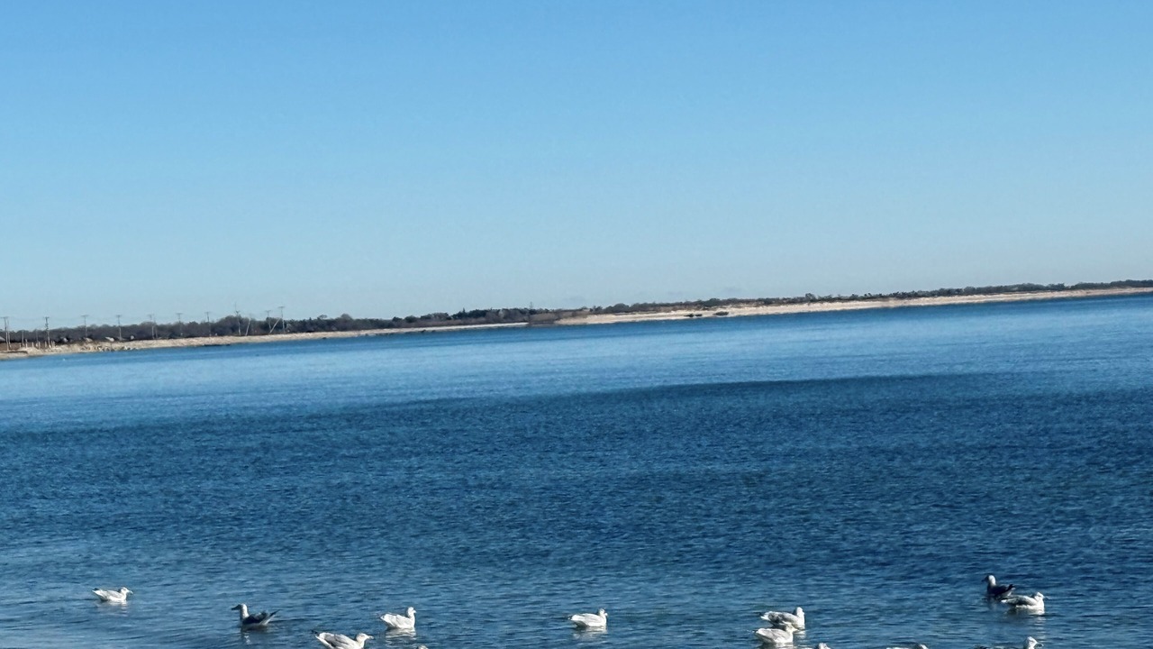 Photo of Others in Adamsville