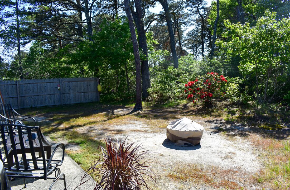 Photo of Outdoor in Dennis Port