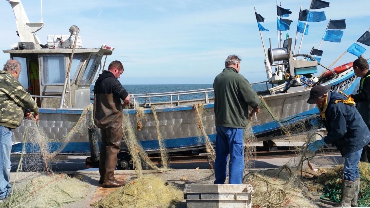 Photo of Others in Pourville-sur-Mer