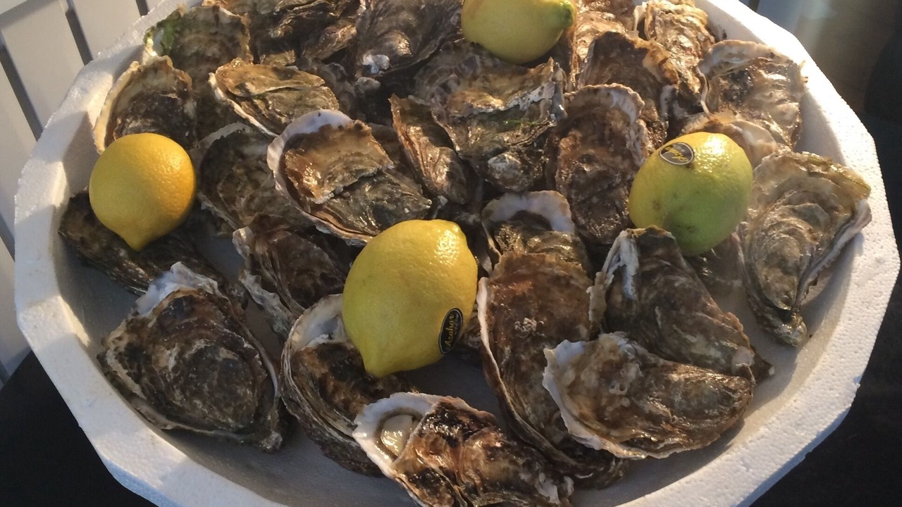 Photo of Others in Pourville-sur-Mer