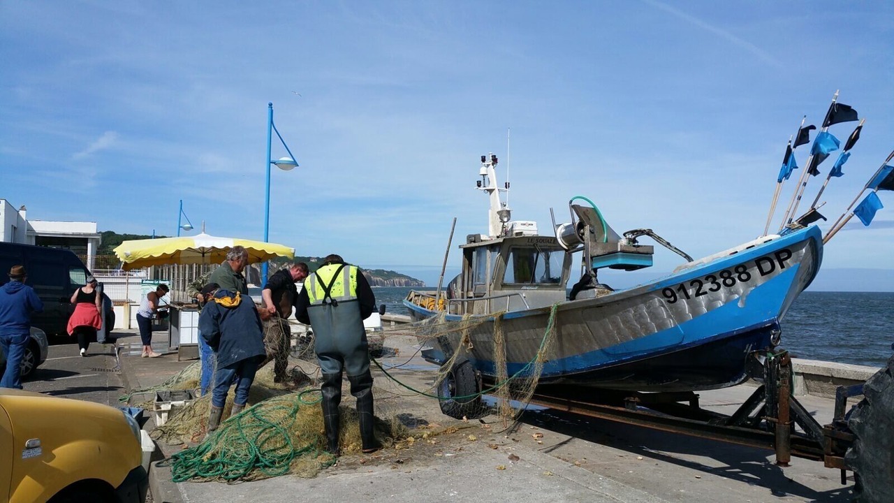 Photo of Others in Pourville-sur-Mer