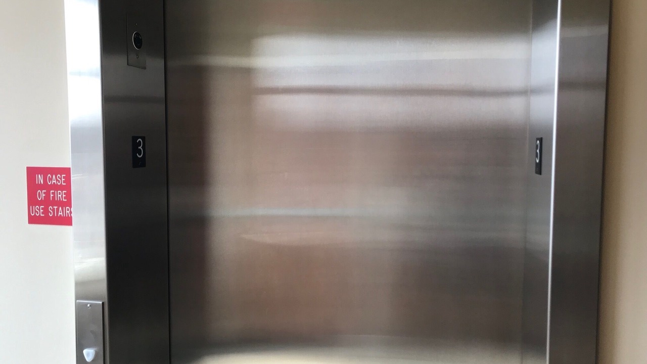 Photo of Others in South Haven