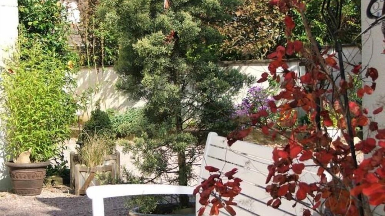Photo of Outdoor in Avenay