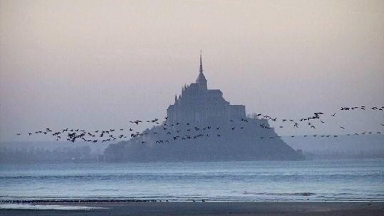 Photo of Others in Avenay
