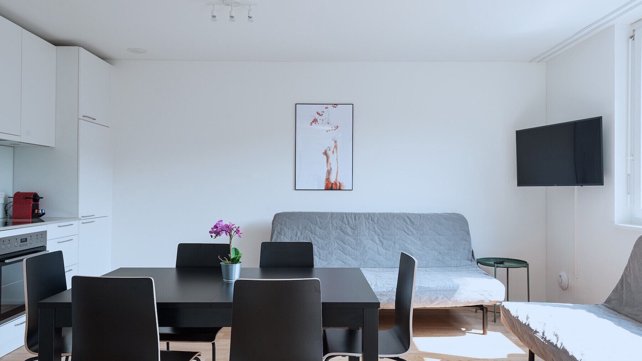 Photo of Livingroom in Basel City Centre