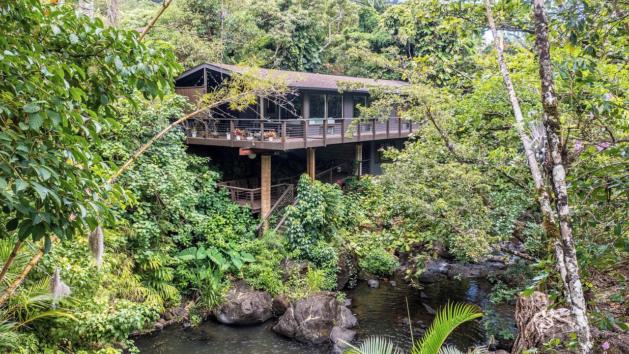Photo of Outdoor in Nuuanu - Punchbowl