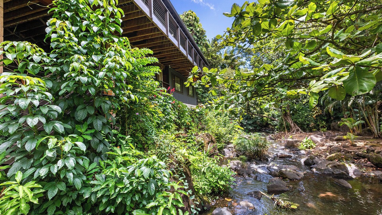 Photo of Outdoor in Nuuanu - Punchbowl