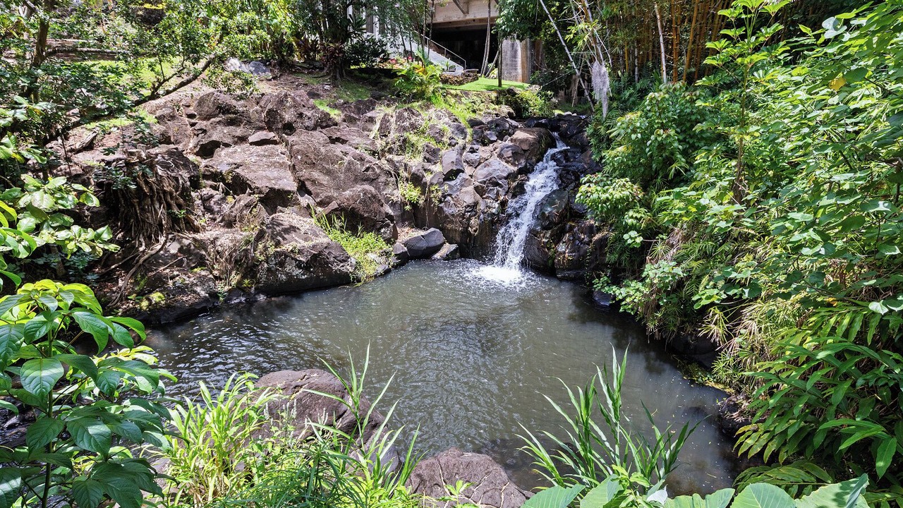 Photo of Outdoor in Nuuanu - Punchbowl