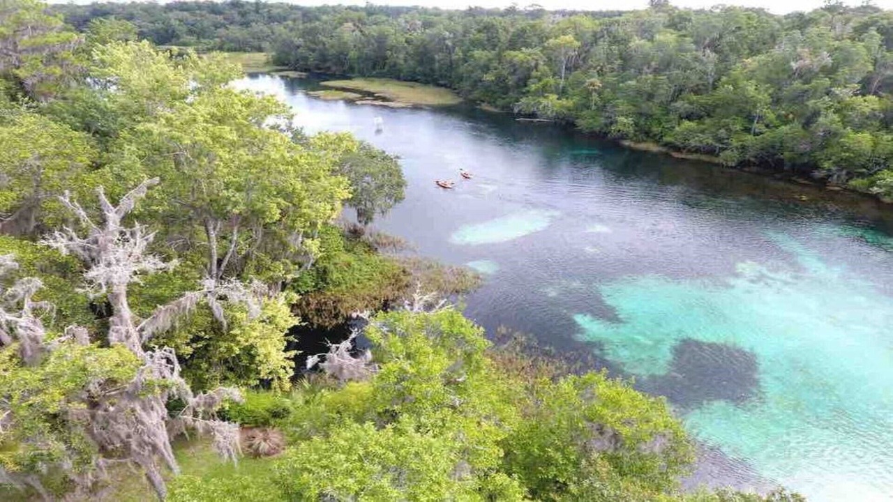 Photo of Outdoor in Dunnellon
