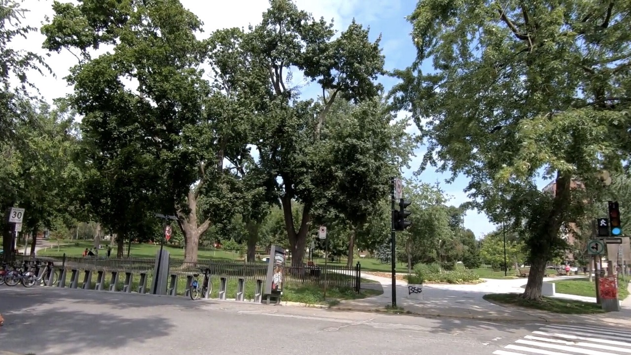 Photo of Others in Cote-Des-Neiges—Notre-Dame-De-Grace