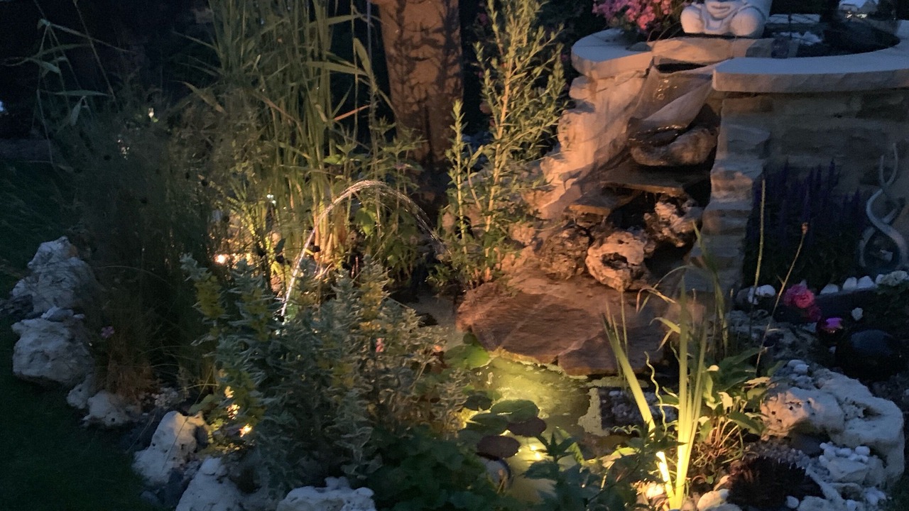 Photo of Outdoor in Accolay