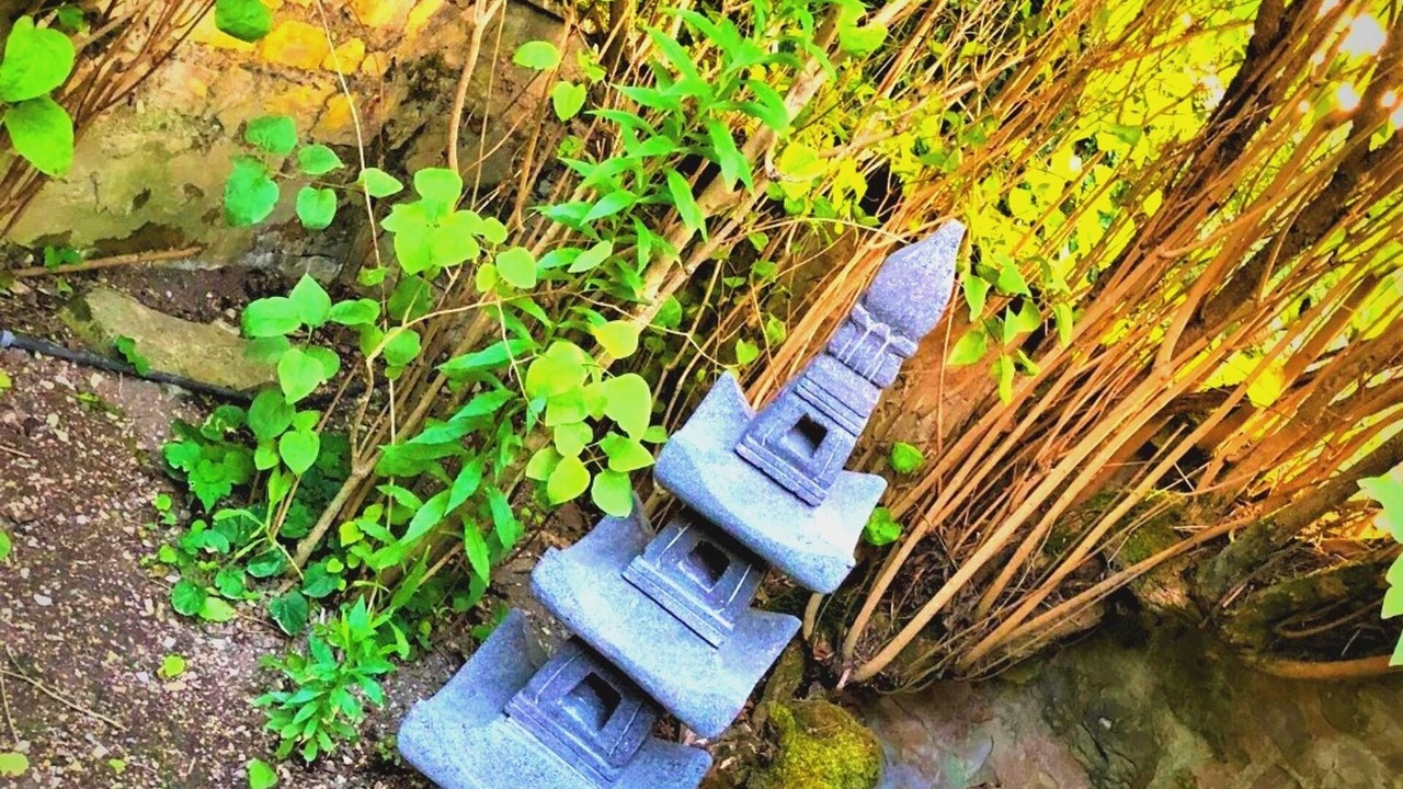 Photo of Outdoor in Accolay