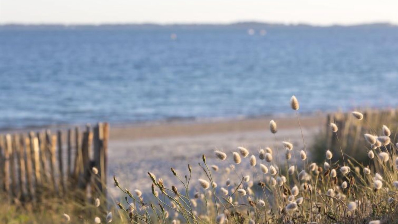 Photo of Others in Carnac