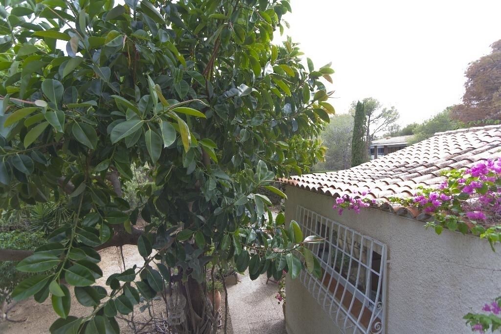 Photo of Outdoor in Altea