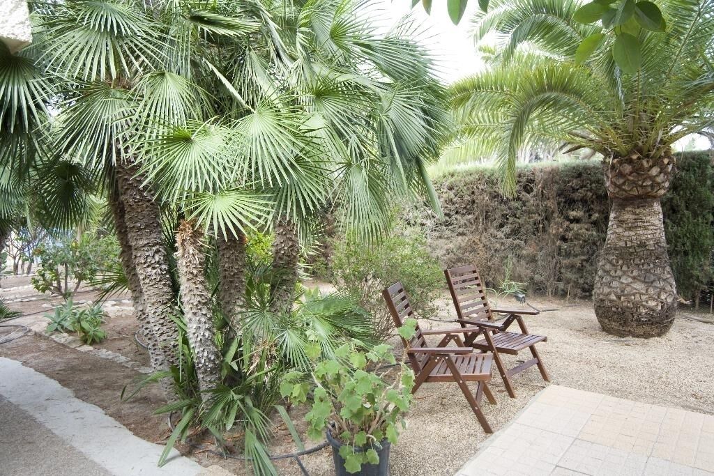 Photo of Patio Balcony in Altea