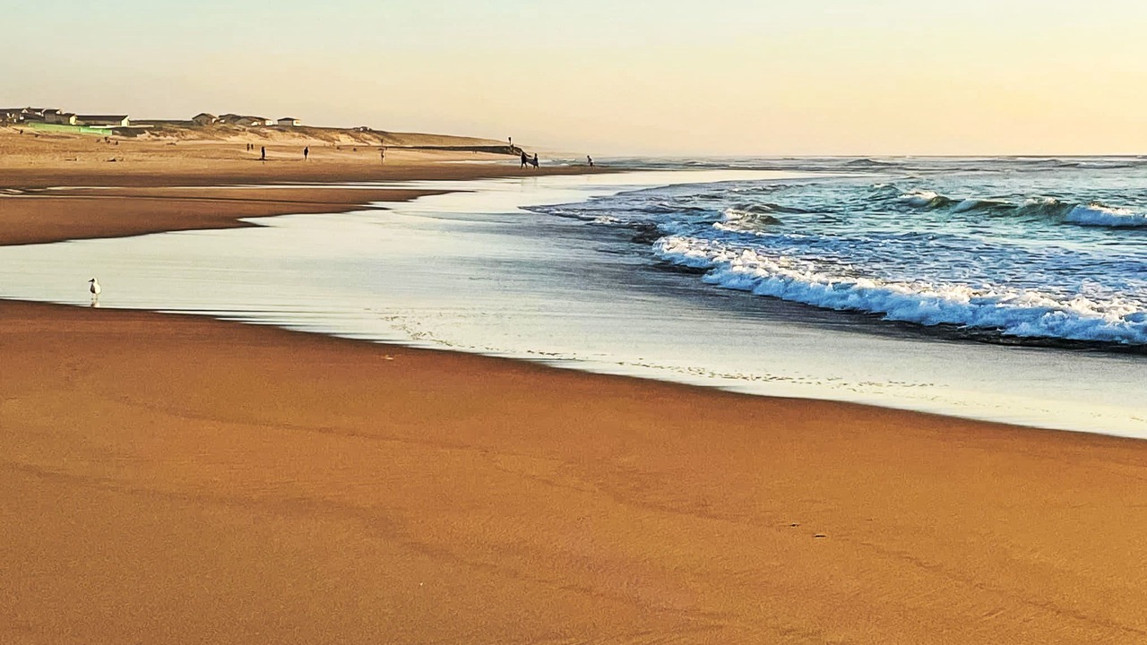 Photo of Others in Mimizan-Plage