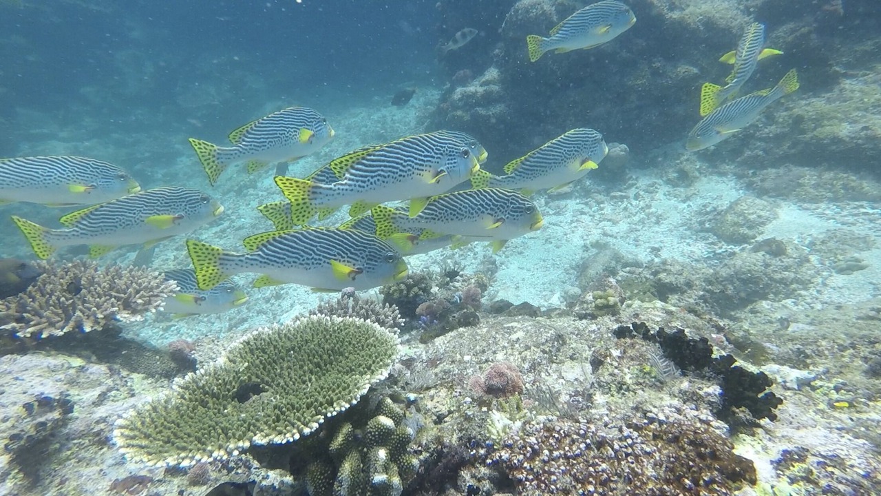 Photo of Outdoor in Labuan Bajo
