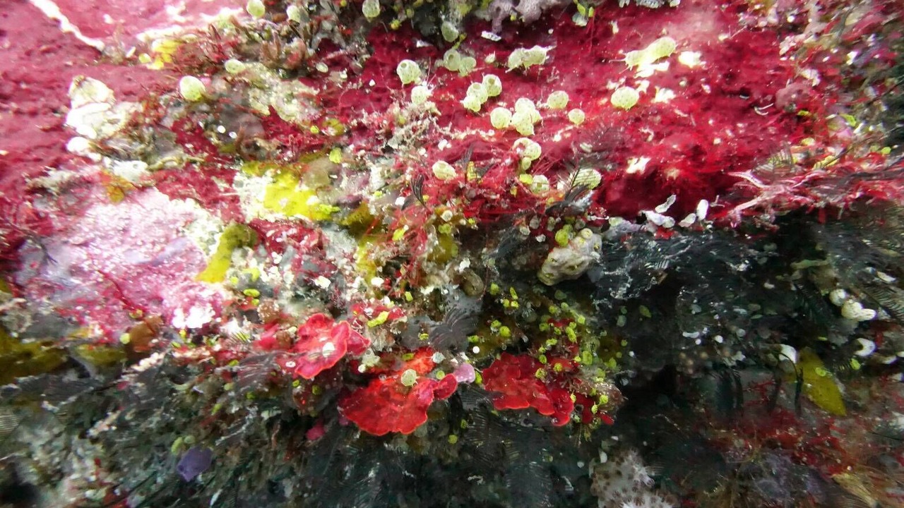 Photo of Others in Labuan Bajo