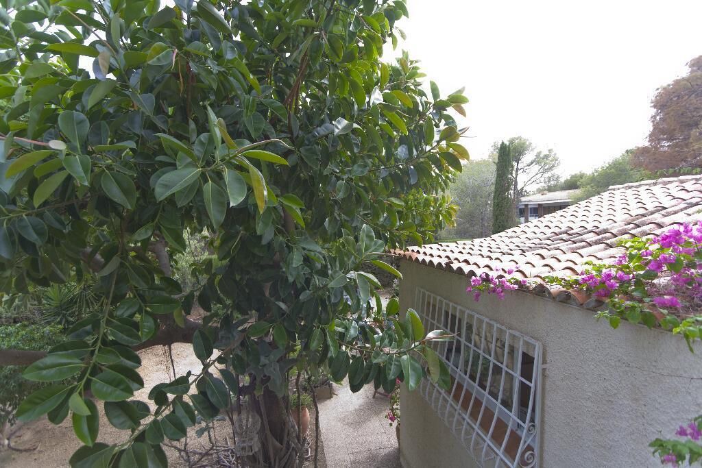 Photo of Outdoor in Altea