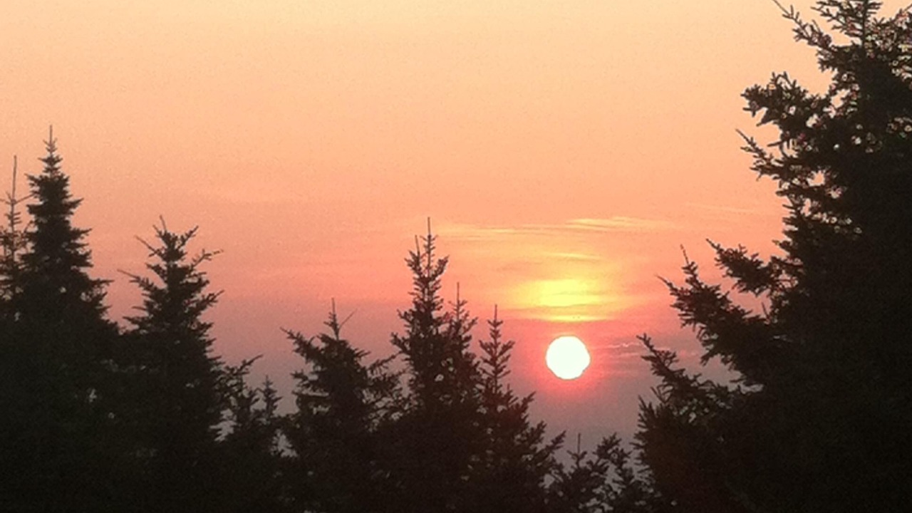 Photo of Others in Rumney