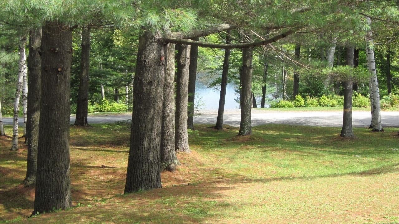 Photo of Outdoor in Rumney