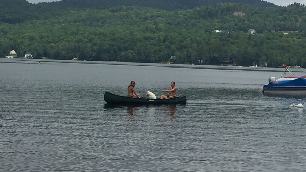 Photo of Others in Rumney