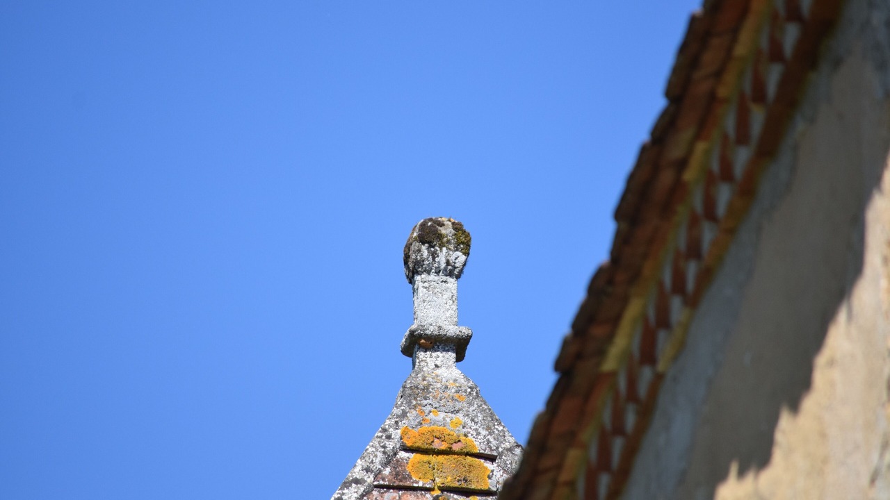 Photo of Outdoor in Mauzens-et-Miremont