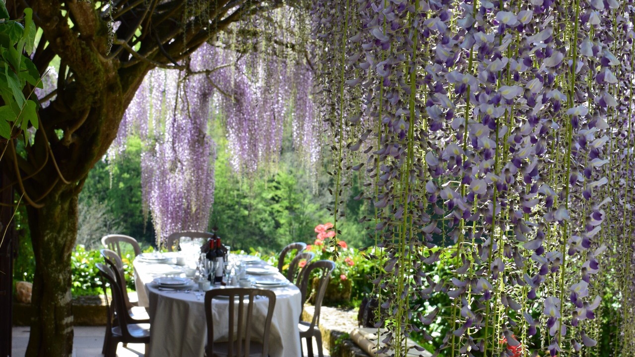 Photo of Outdoor in Mauzens-et-Miremont