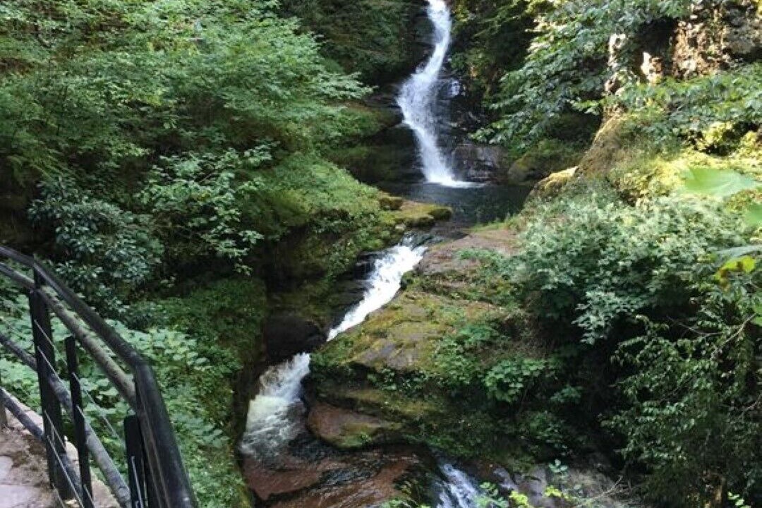 Photo of Others in Buck Hill Falls