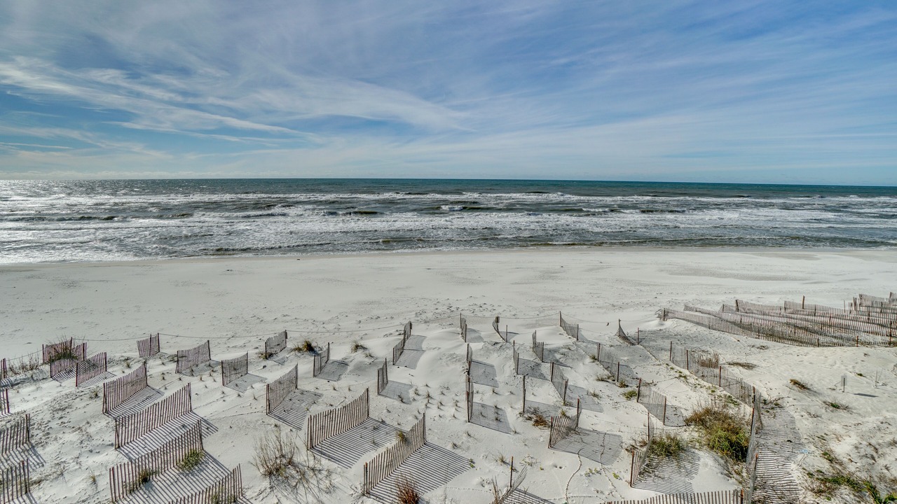 Photo of Others in Port St. Joe