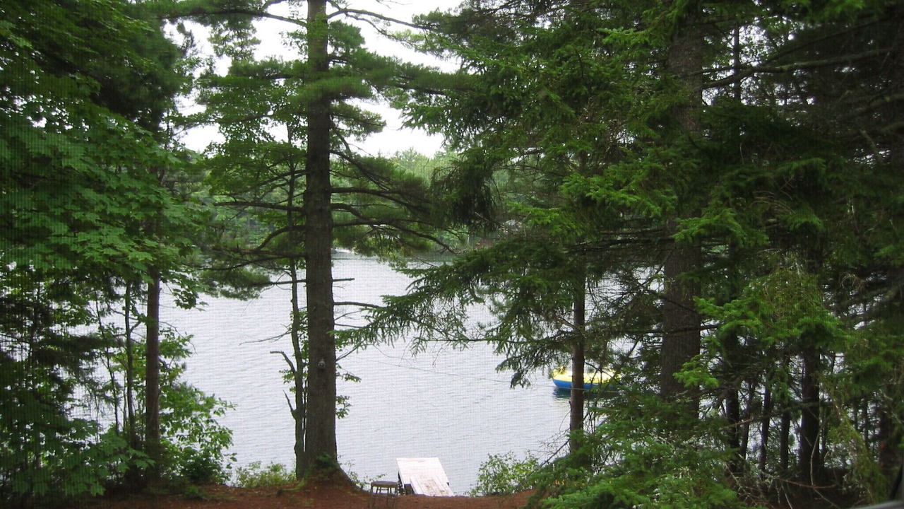 Photo of Others in Northport