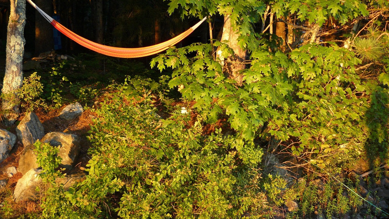 Photo of Outdoor in Northport