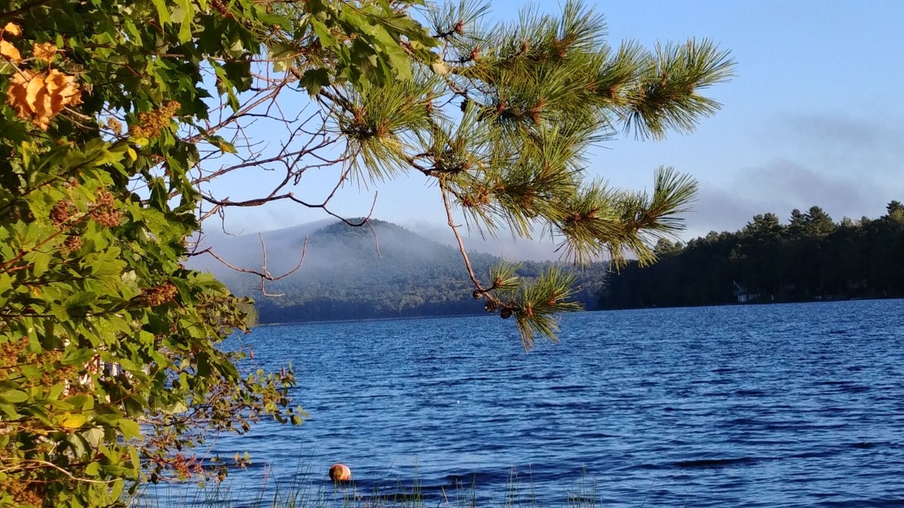 Photo of Others in Northport